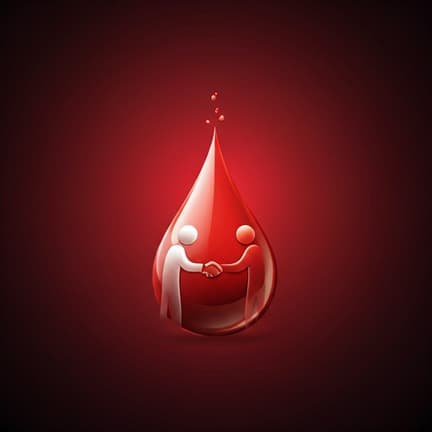 BloodSetu logo